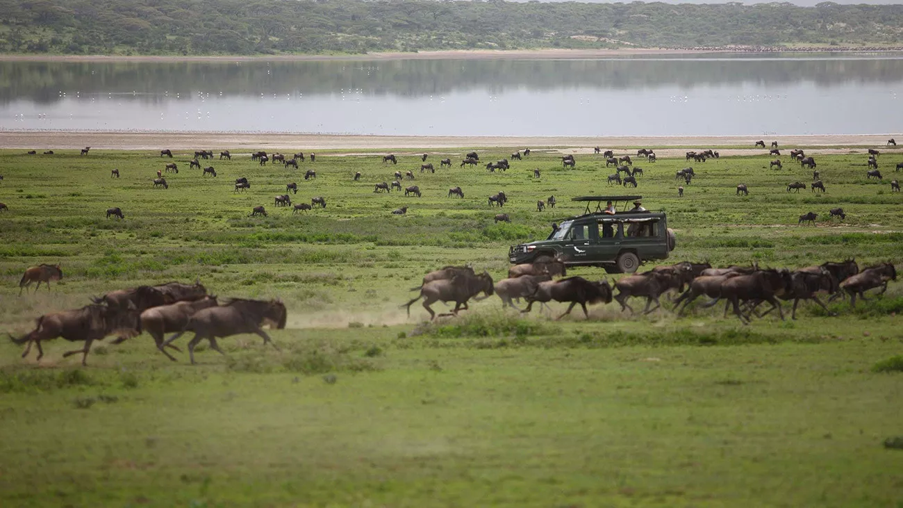 Tanzânia e Safári em 4x4 no Klein's Camp