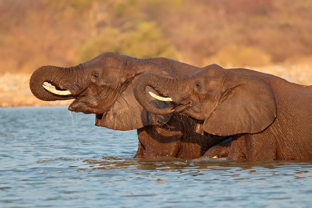 Explore Namibia by Road