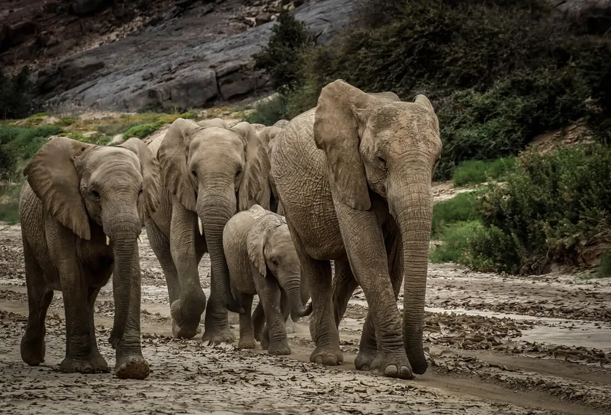 O melhor da Namíbia