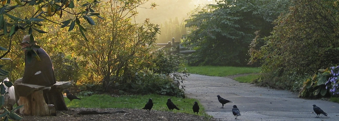 Montanhas Rochosas a Vancouver