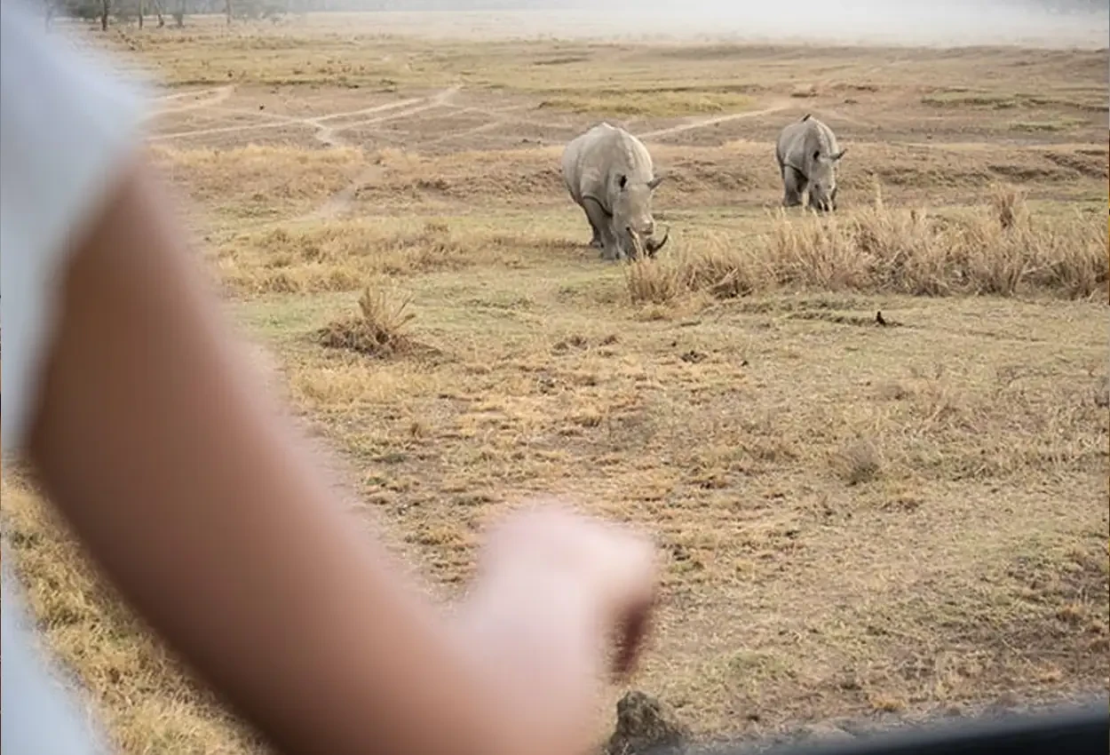 O Melhor do Quênia com Guia Brasileiro