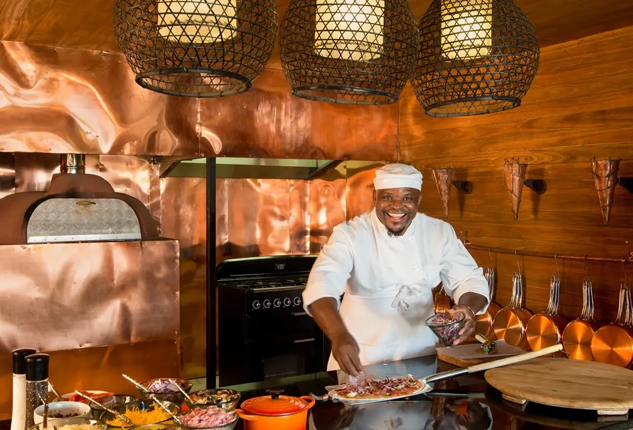 Primatas e Predadores 