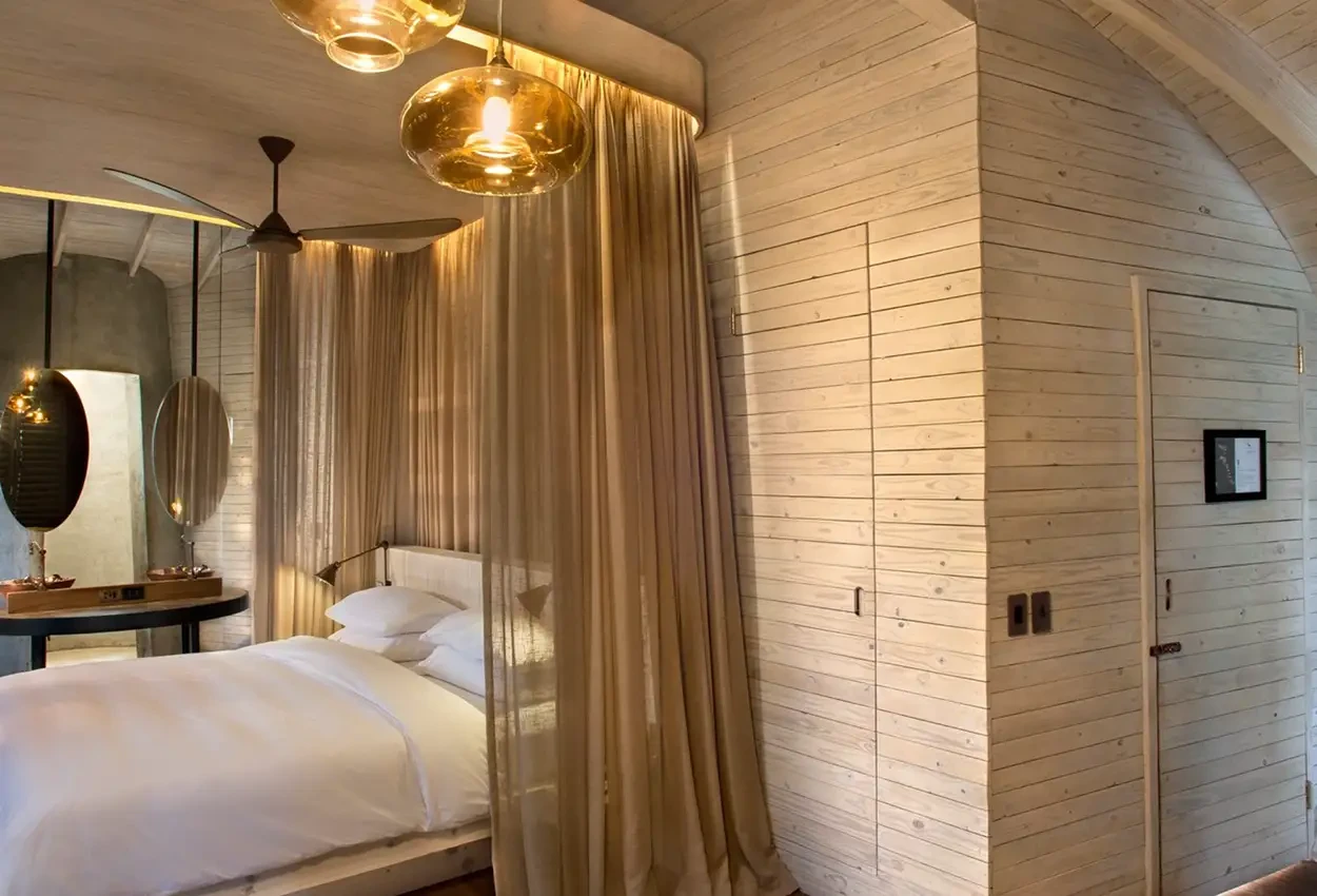 Primatas e Predadores 