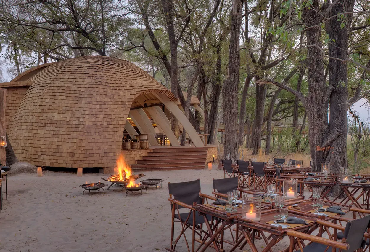 Primatas e Predadores 