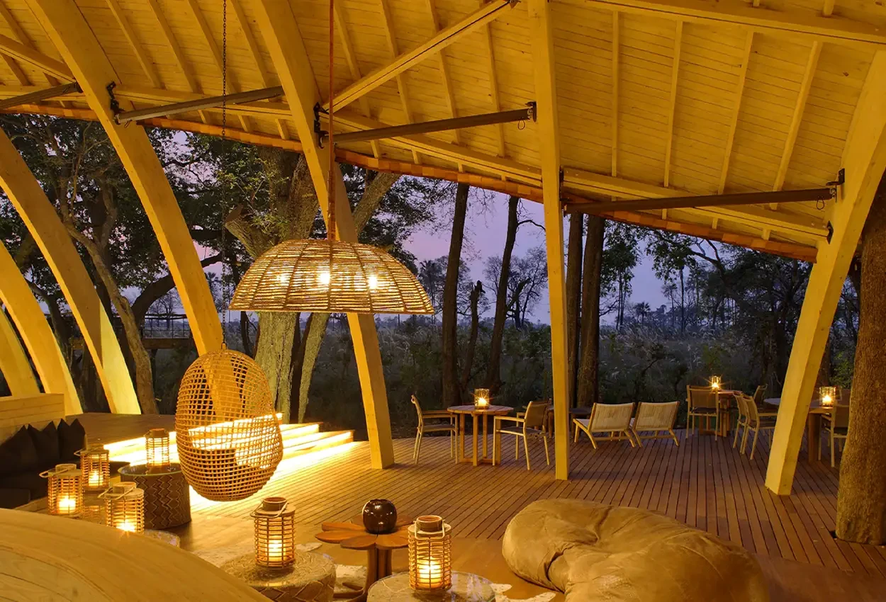 Primatas e Predadores 