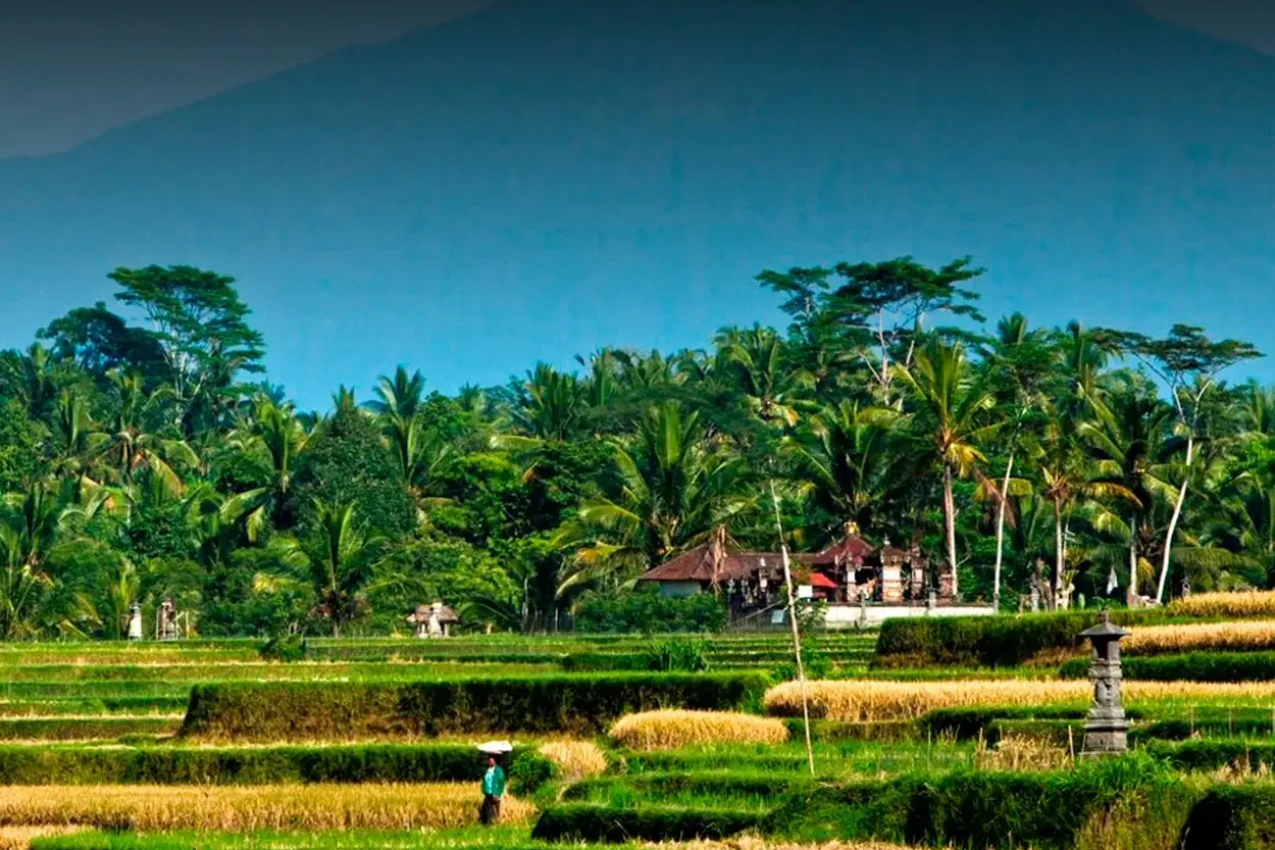 sabores-tradicao-indonesia-4