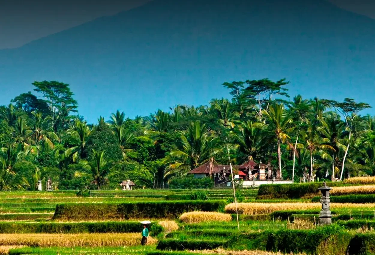 Rota Sabores e Tradições