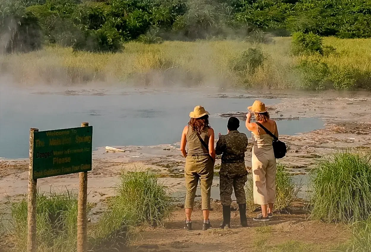 Ruanda Gorillas Nest