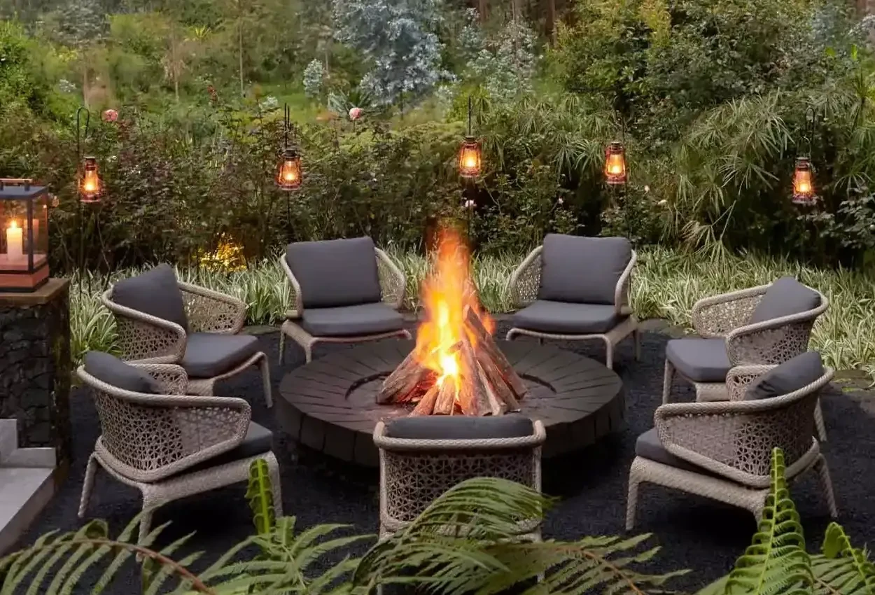 Primatas e Predadores 