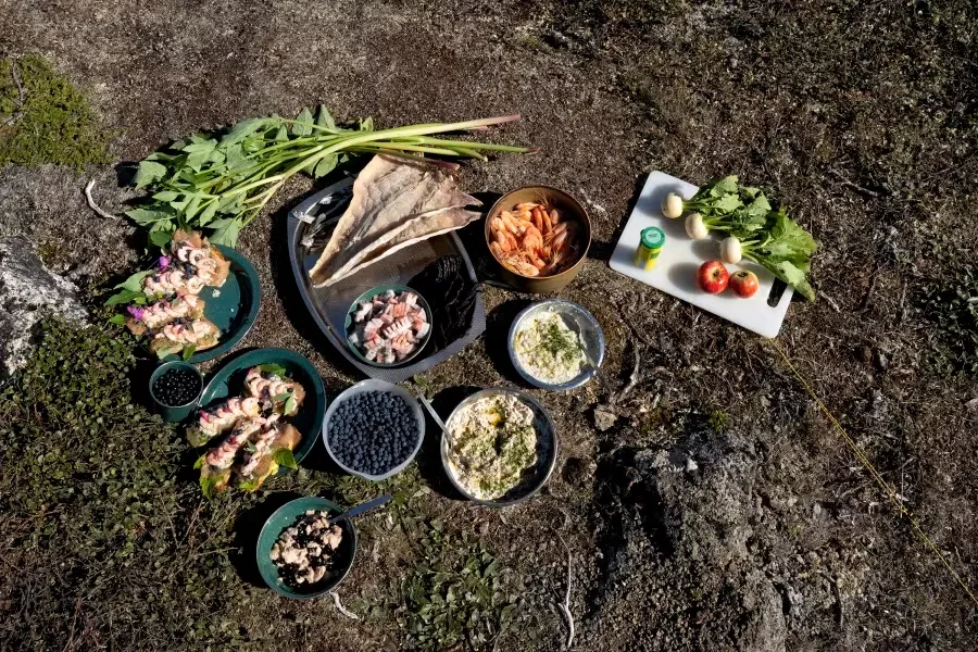 groenlandia-sul-meal