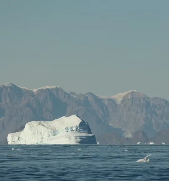 Três Ilhas Árticas - Spitsbergen, Groenlândia e Islândia