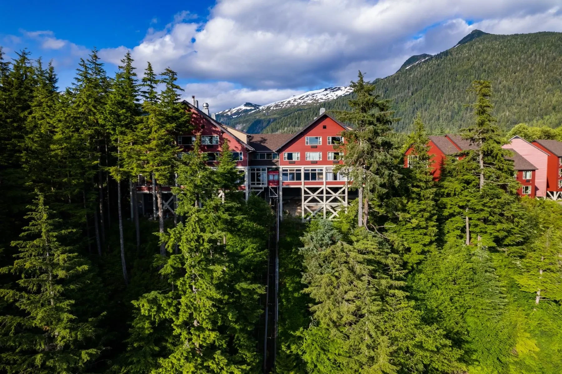 alaska-ketchikan-woods