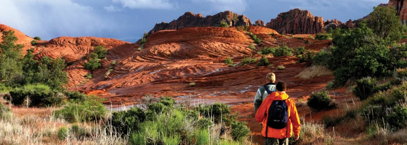 National Park Discovery - Partindo de Los Angeles