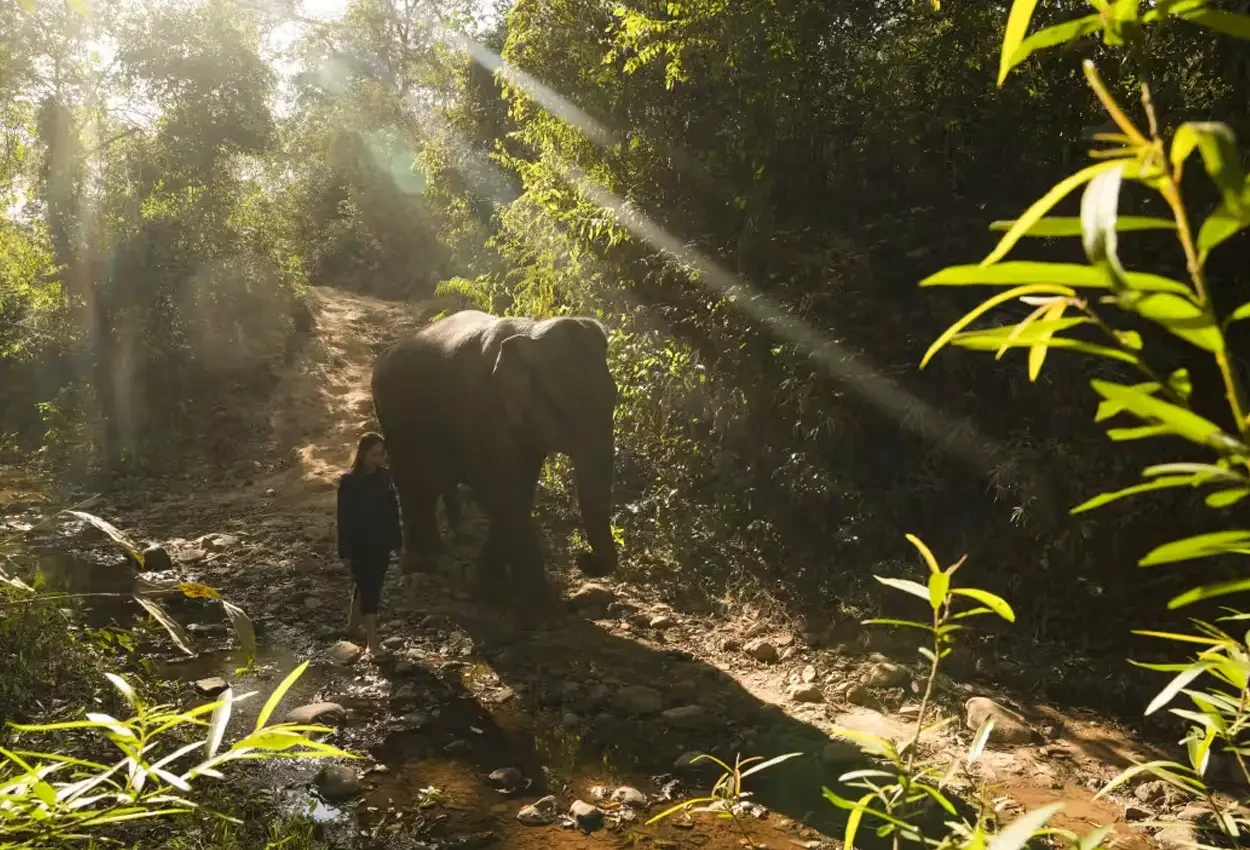 Essence of Laos: Luxury & Charm