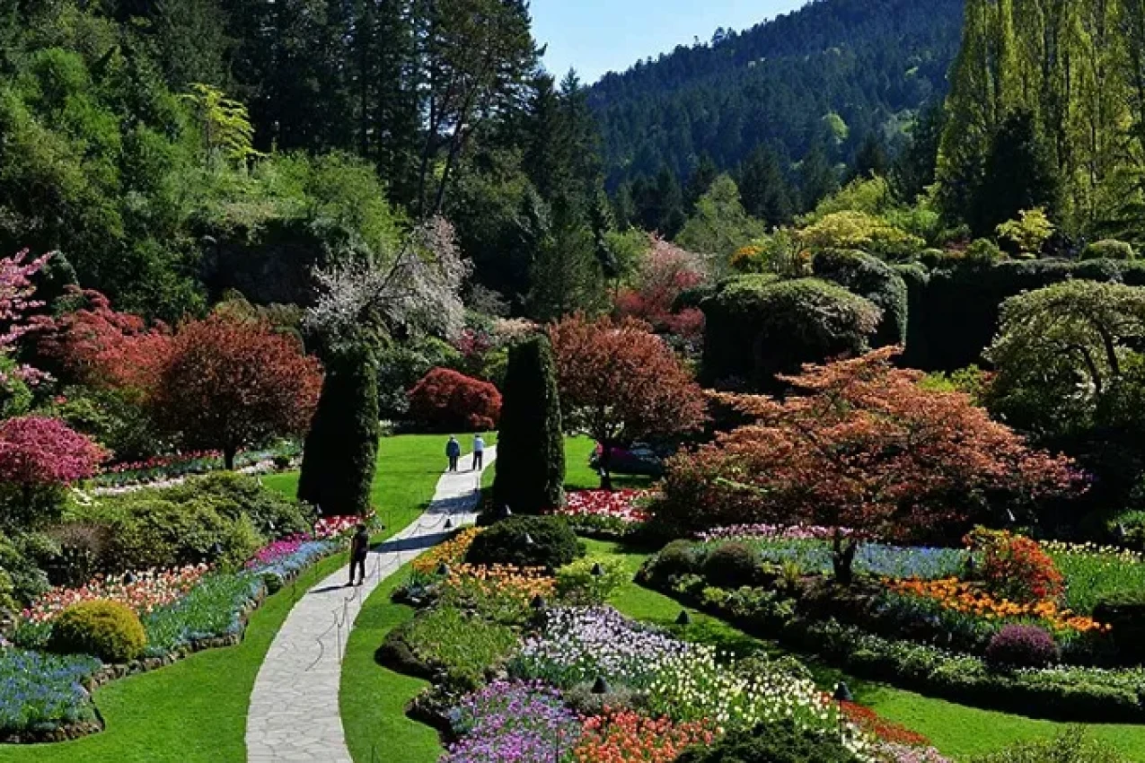 victoria-garden