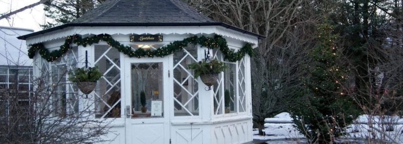 Aventura das Auroras Boreais no Ano Novo