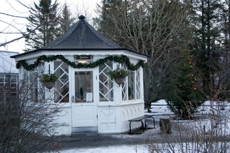 Aventura das Auroras Boreais no Ano Novo