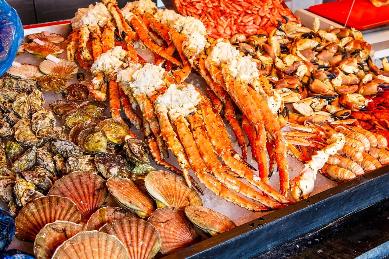 lenda-fiordes-nouregueses-1