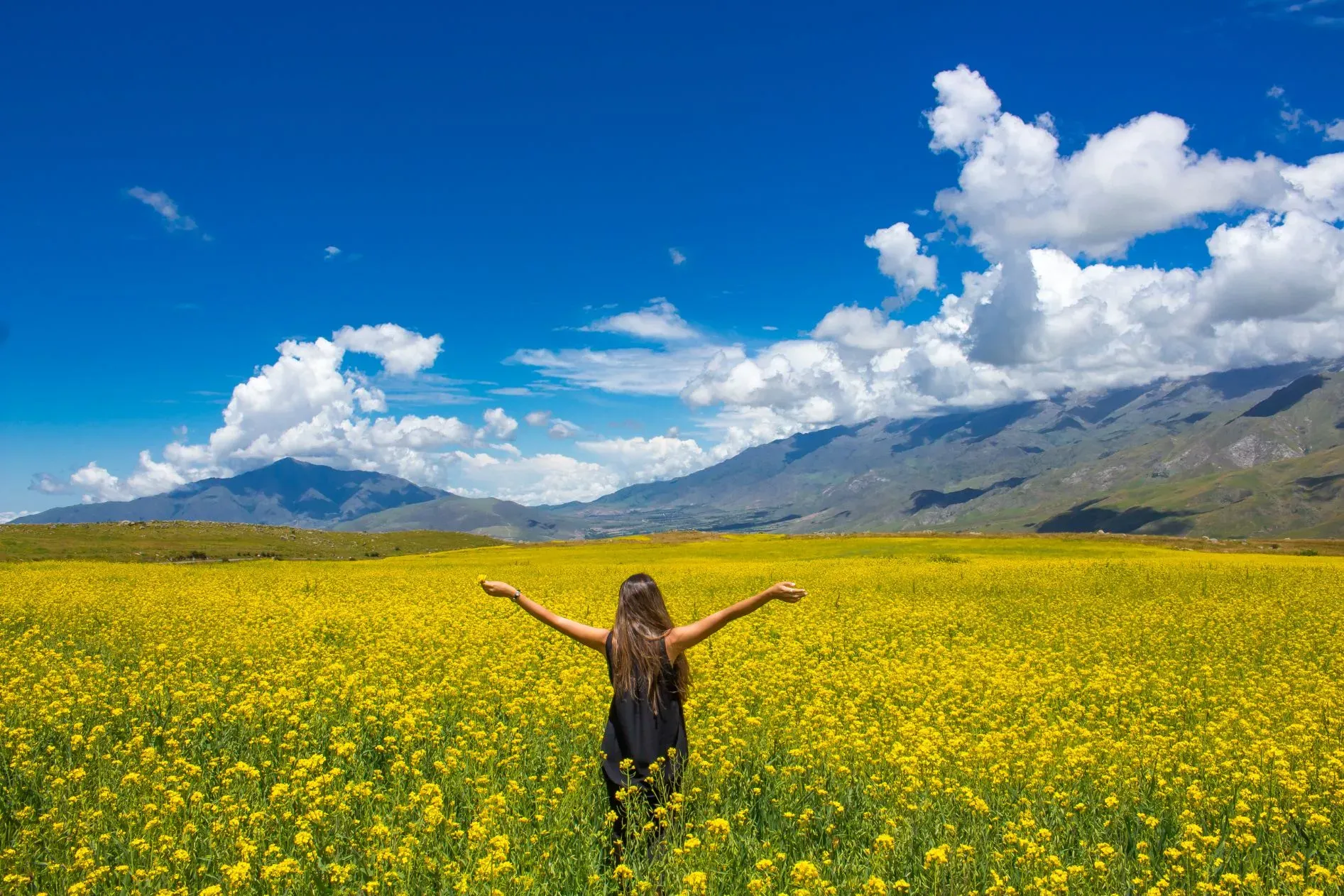 argentina-tafi_del_valle