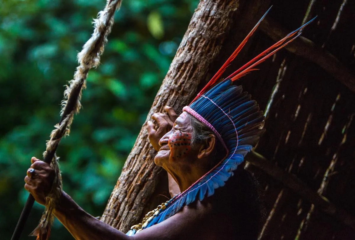 brasil-amazonas-21-10