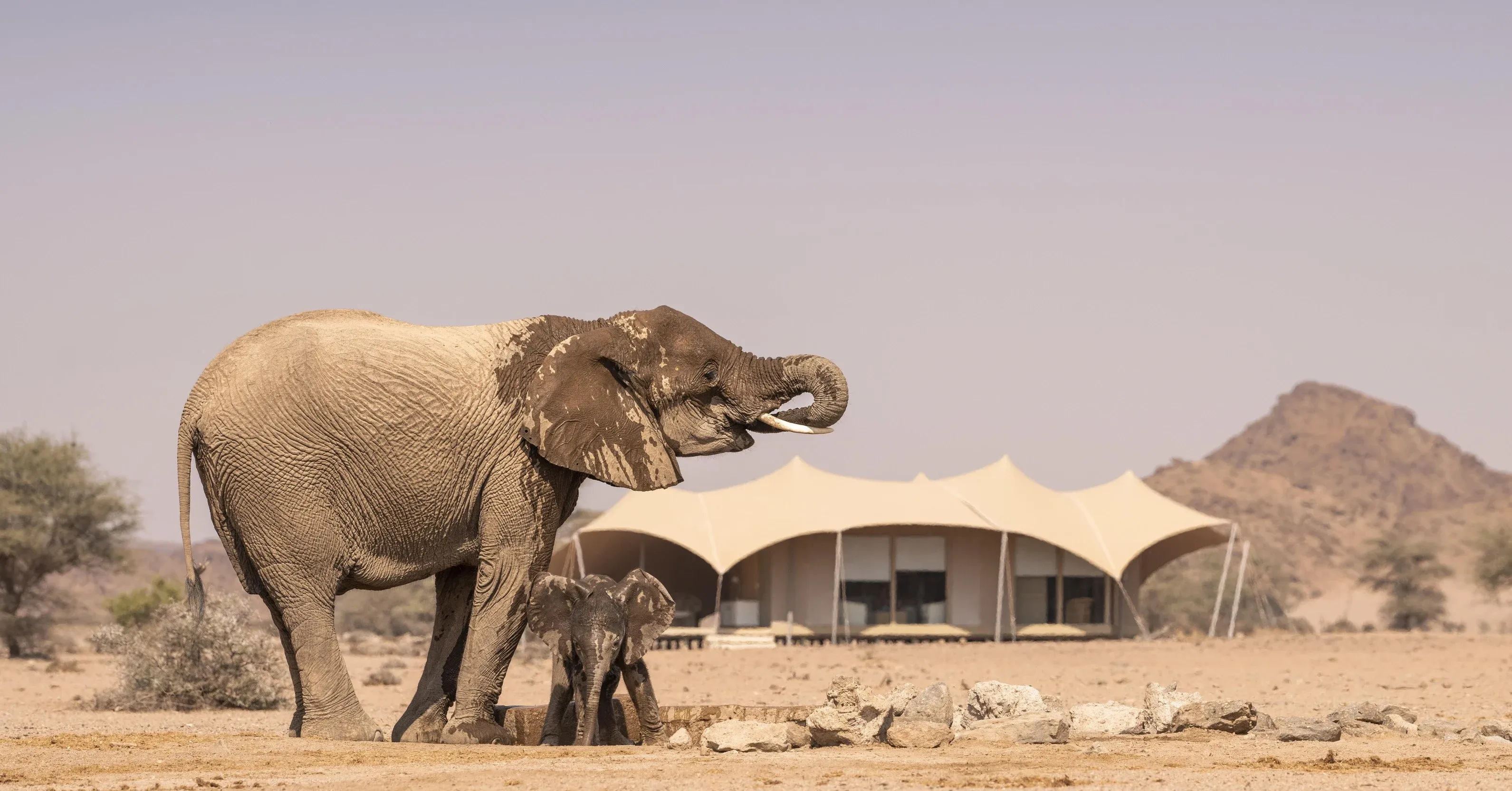 Namibia-CTAFullBleed