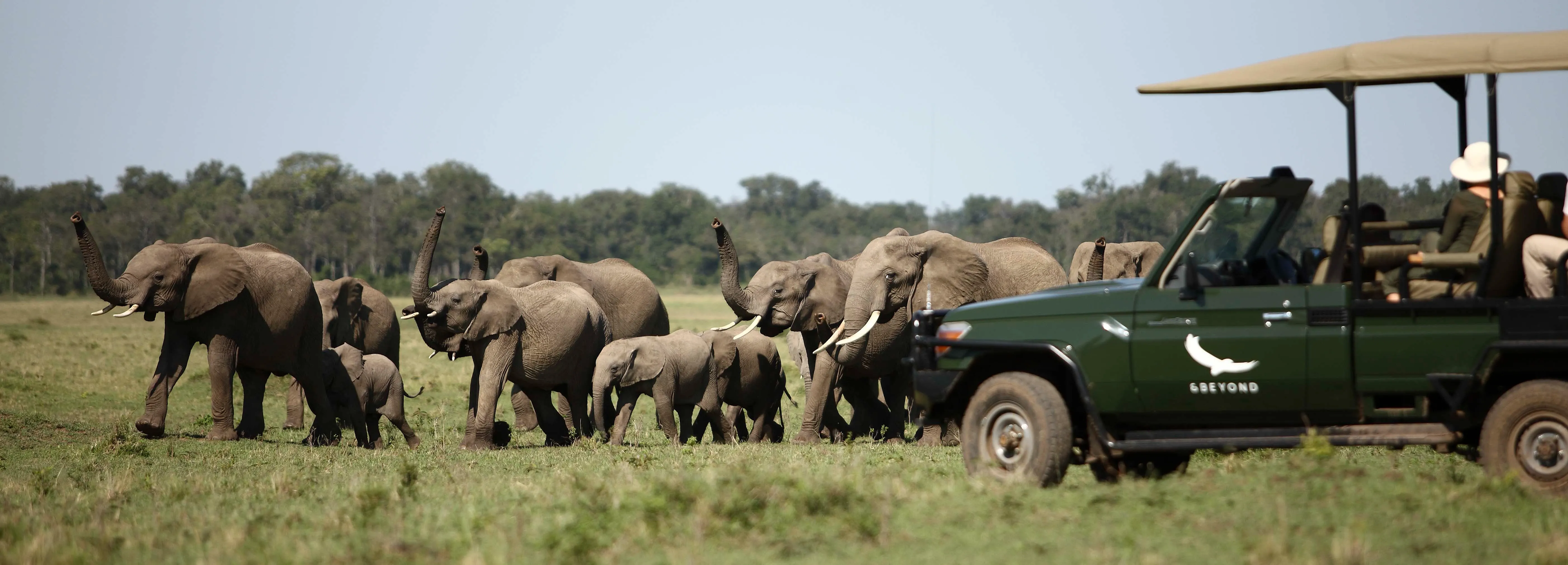 kenya-masai-elefantes-safari