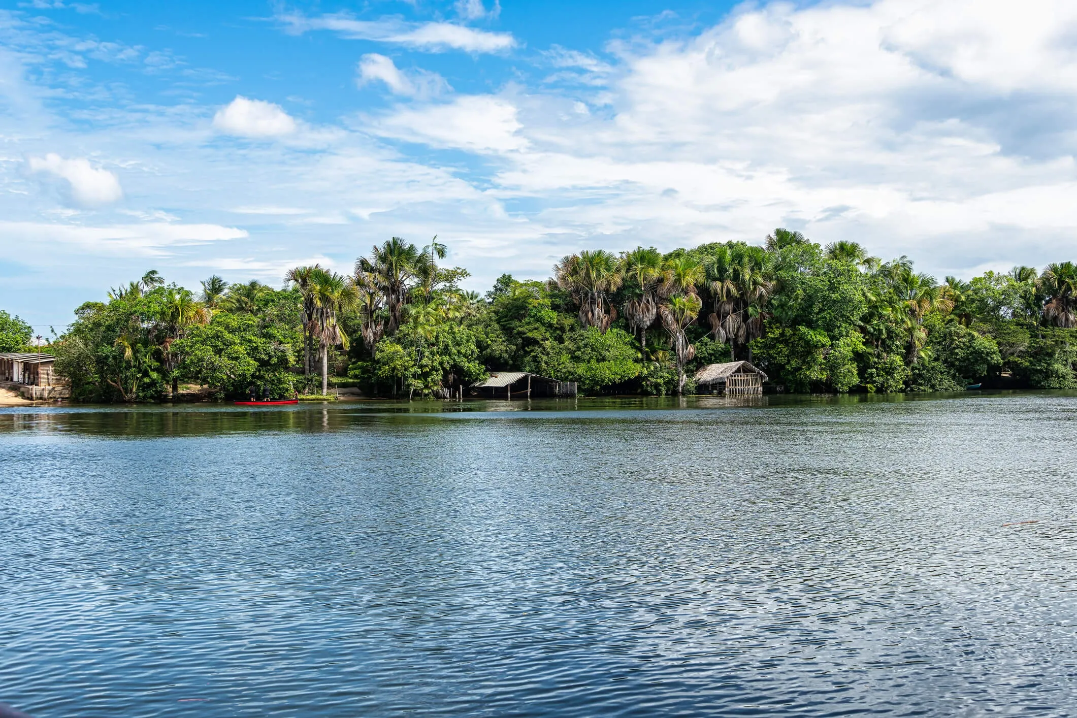 brasil-maranhao-preguiças