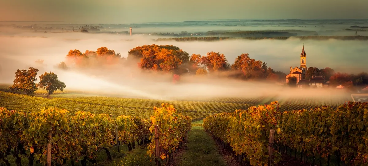 Campo em Bordeaux, França