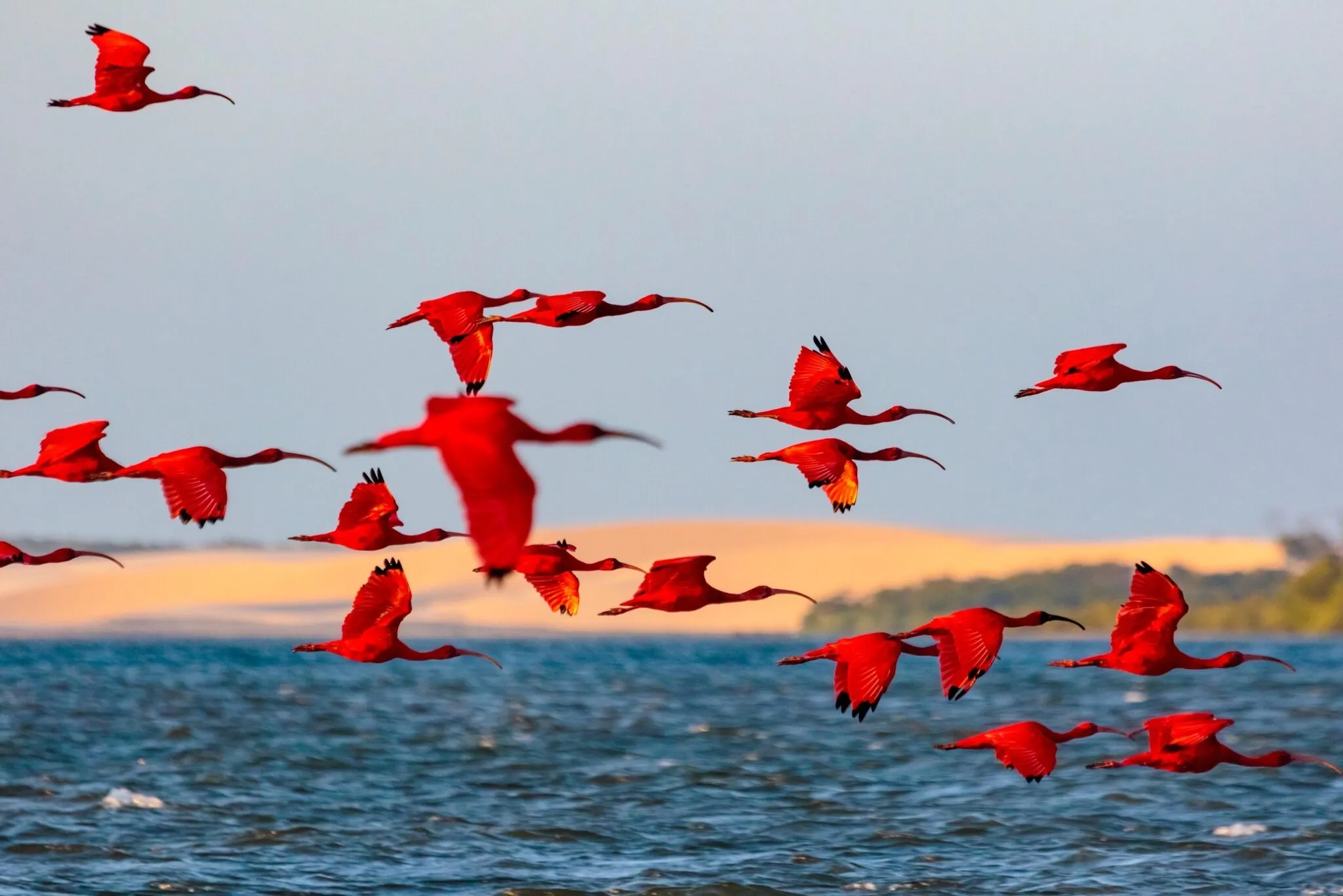 brasil-delta-parnaiba