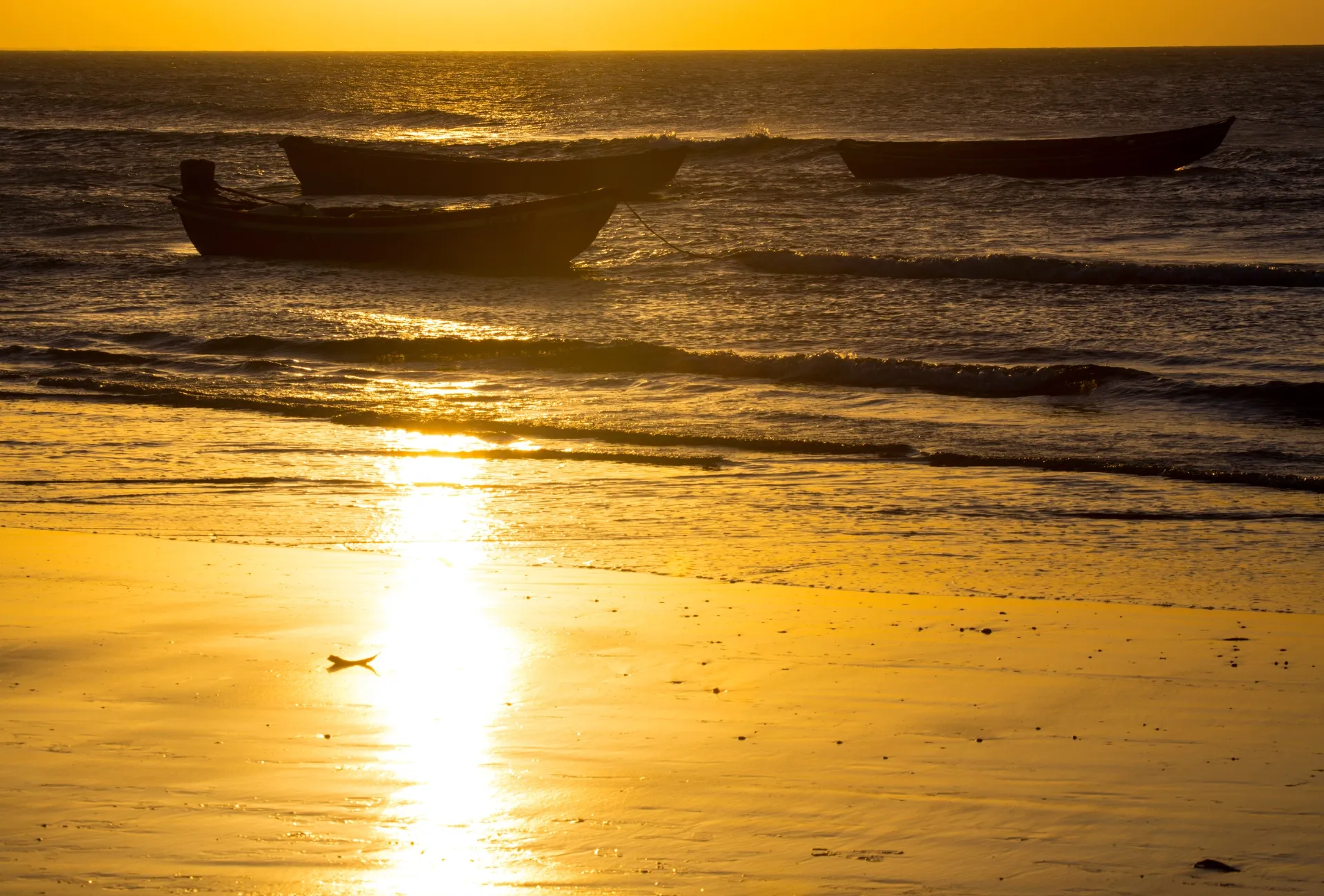 brasil-ceara-jeri-jerijerijerijeri