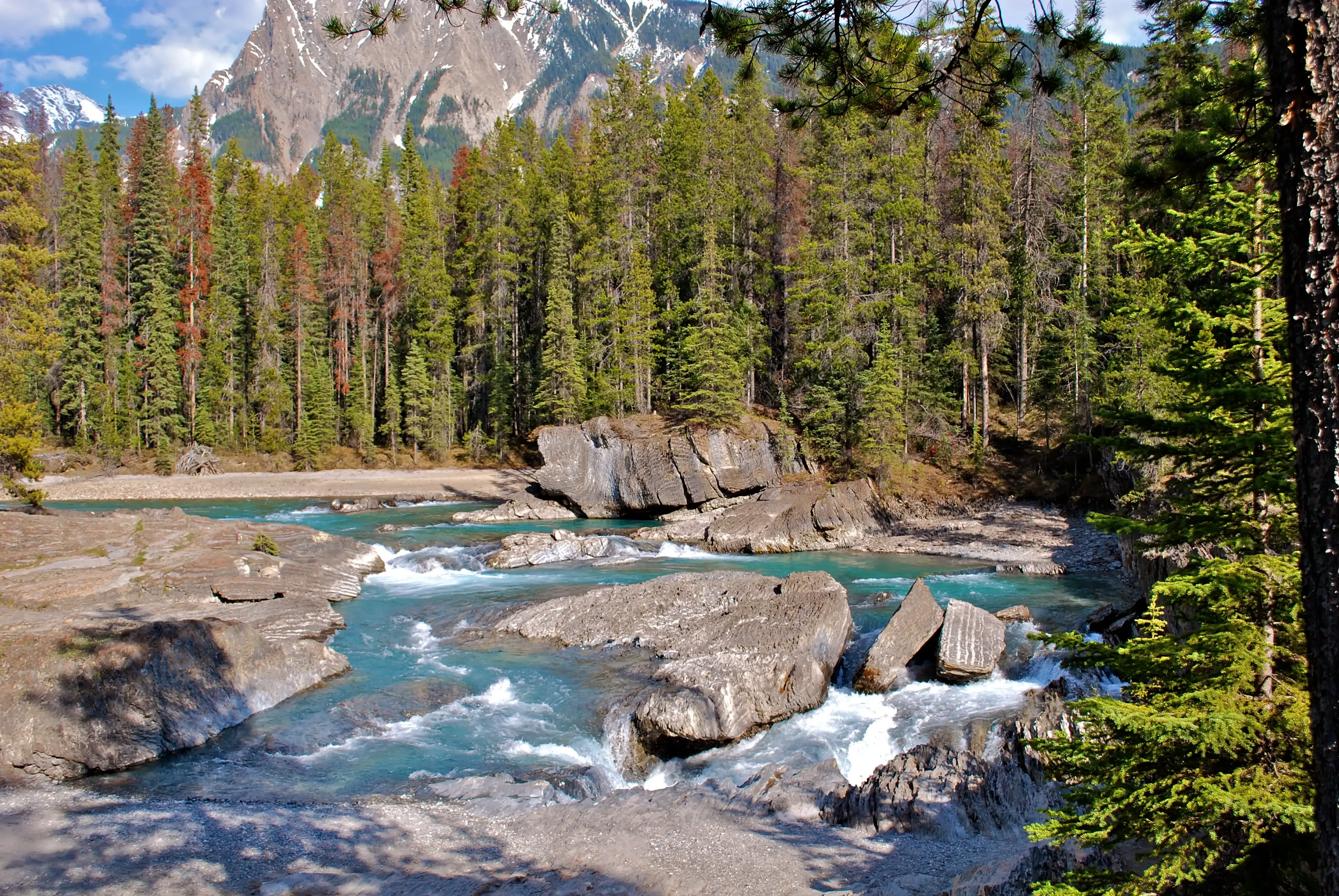 Ponte natural no Canadá
