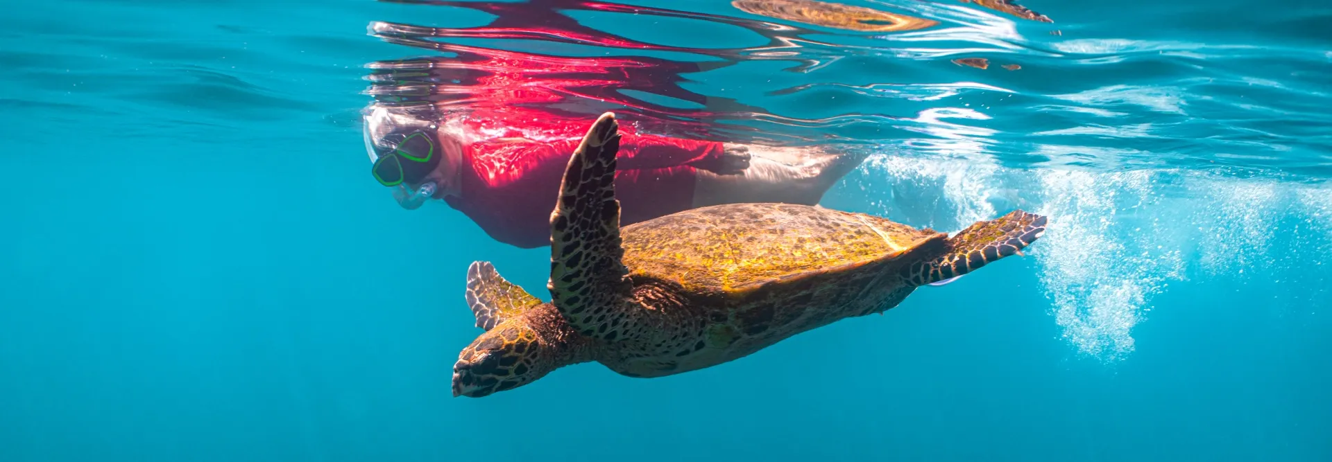 panama-national-tortuga