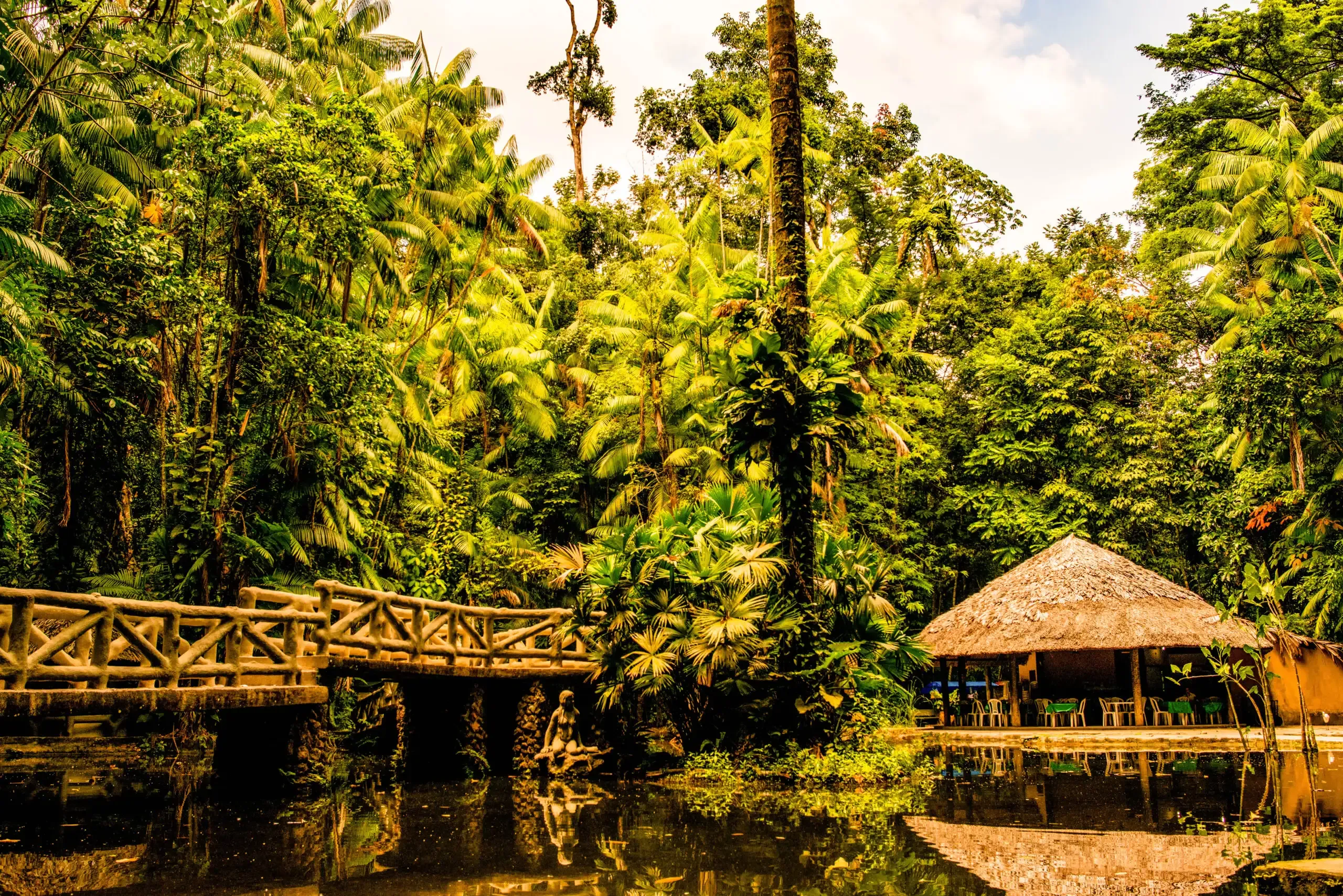 brasil-para-bosque-belem