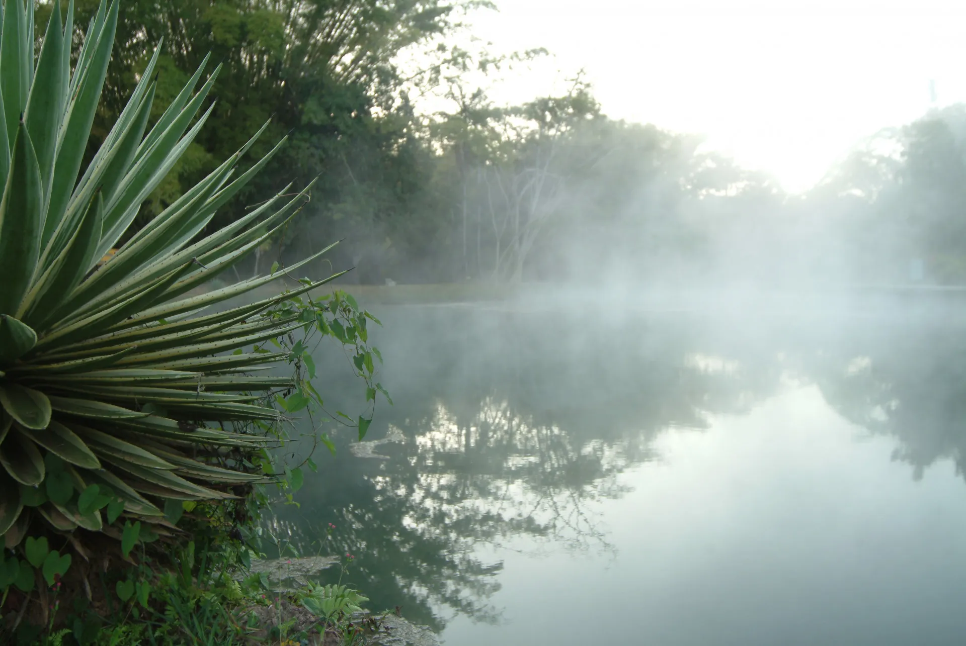 brasil-goias-piratipinga-01