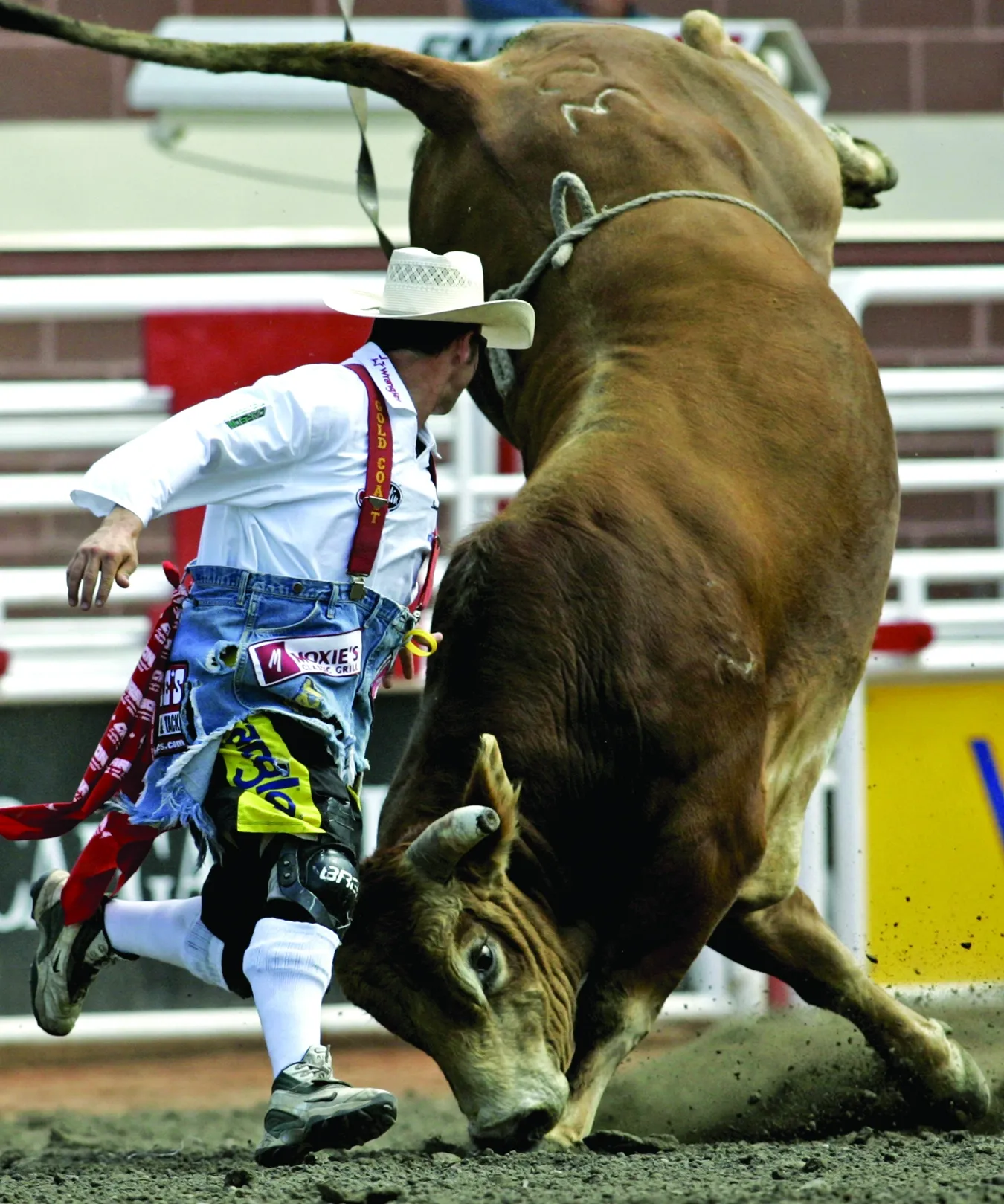 Rodeio no Calgary Stampede