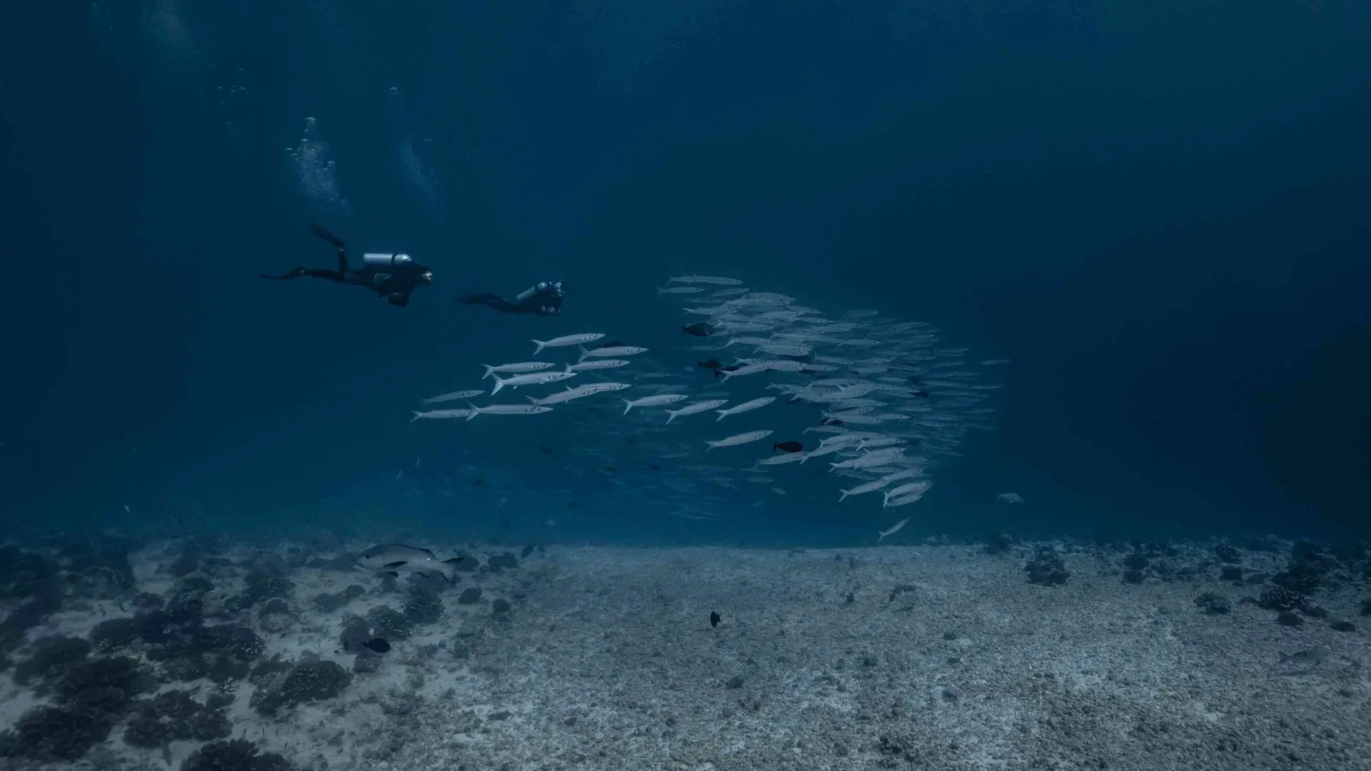 Mergulho em Farakava, Polinésia Francesa