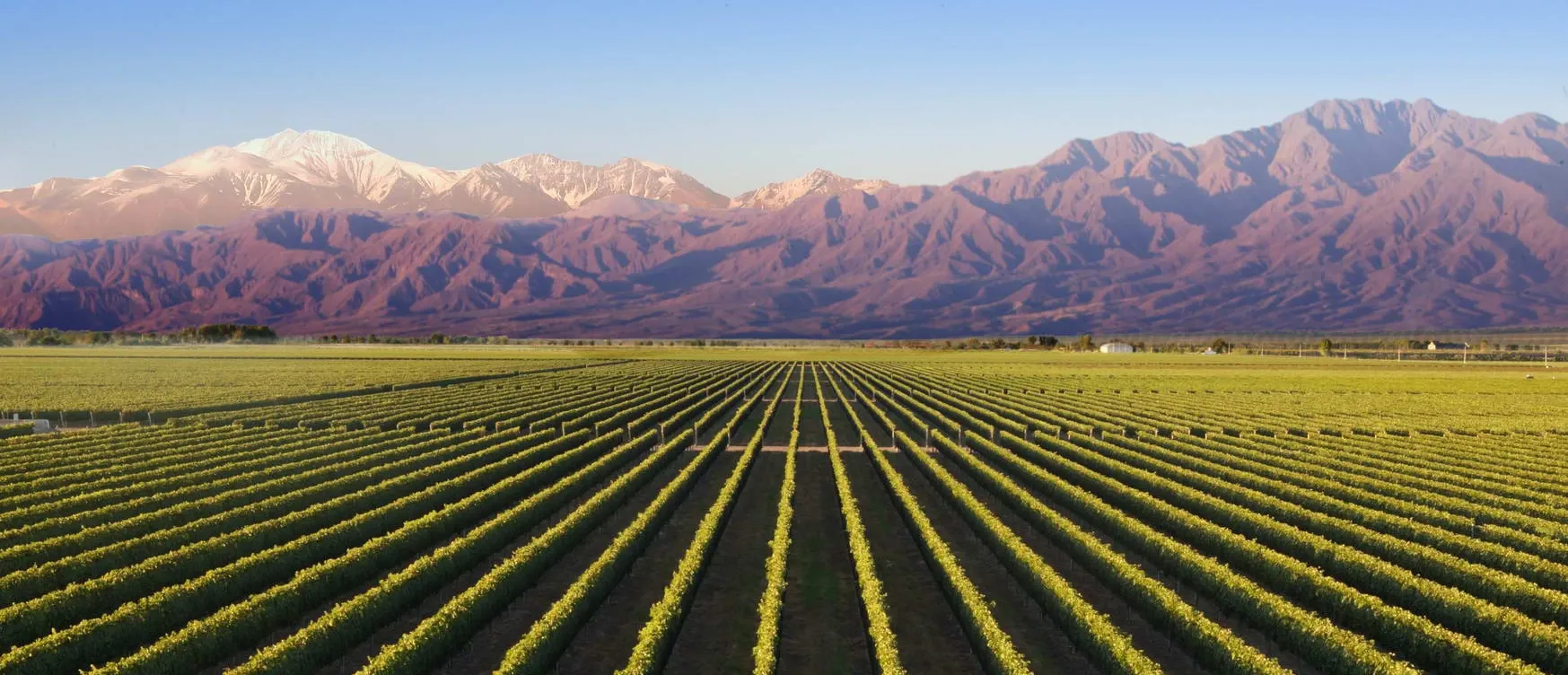 Hotéis de vinícola em Luján de Cuyo
