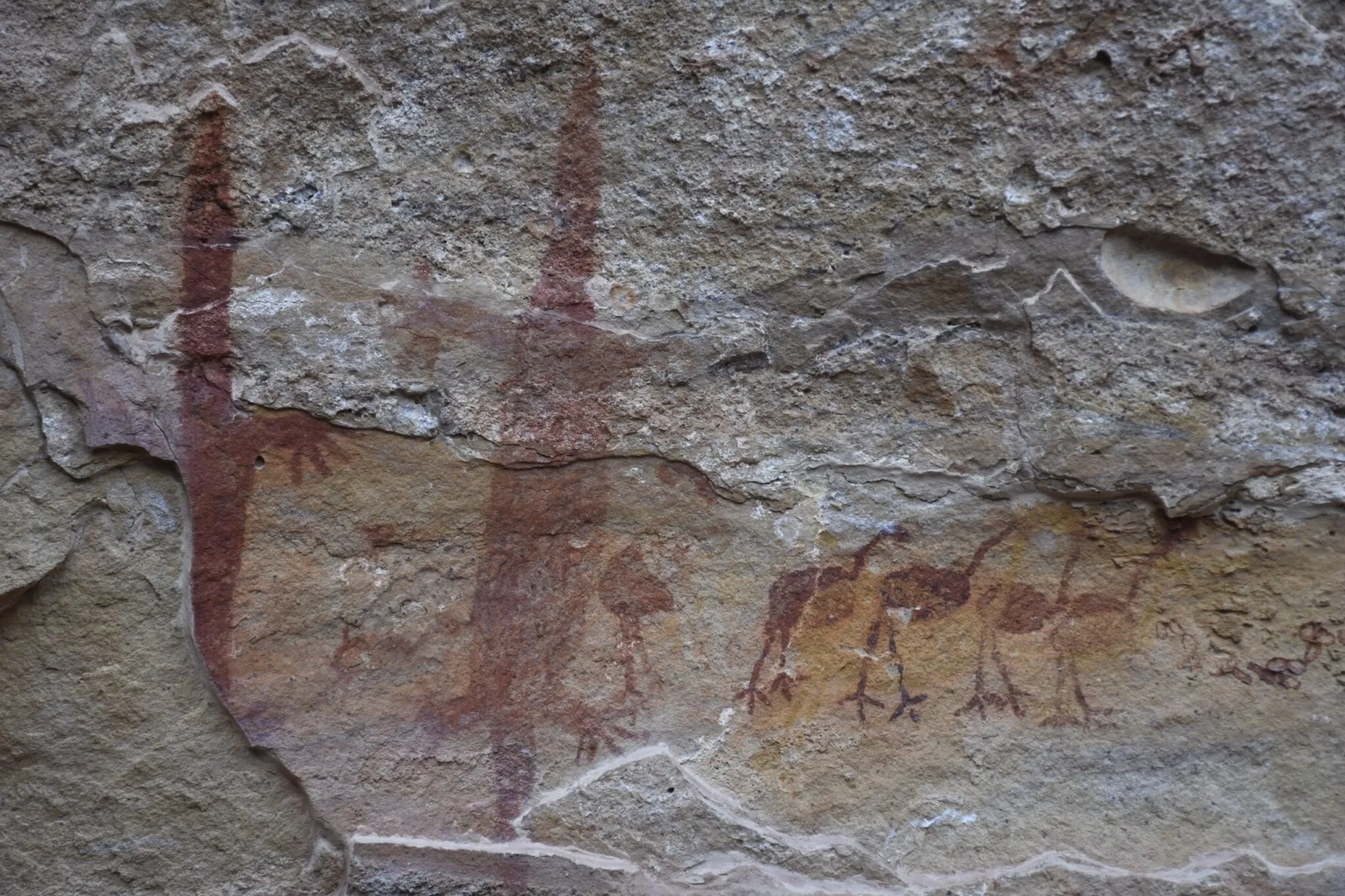 Pintura Rupestre, Serra da Capivara