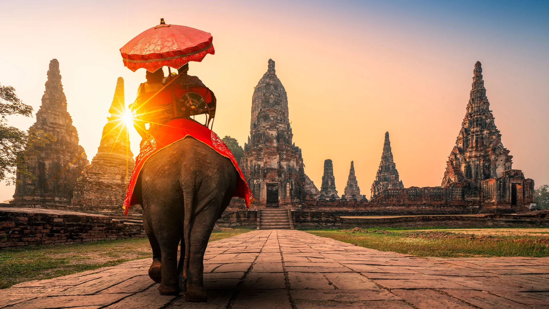 Elephant-Wat-chai-Watthanaram