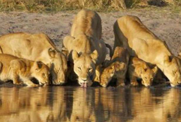 Highlights e Victoria Falls by AndBeyond