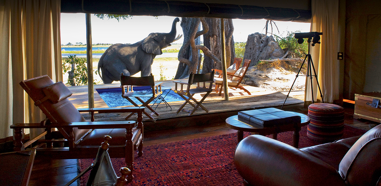 Botswana e Zimbabue by Great Plains Conservation