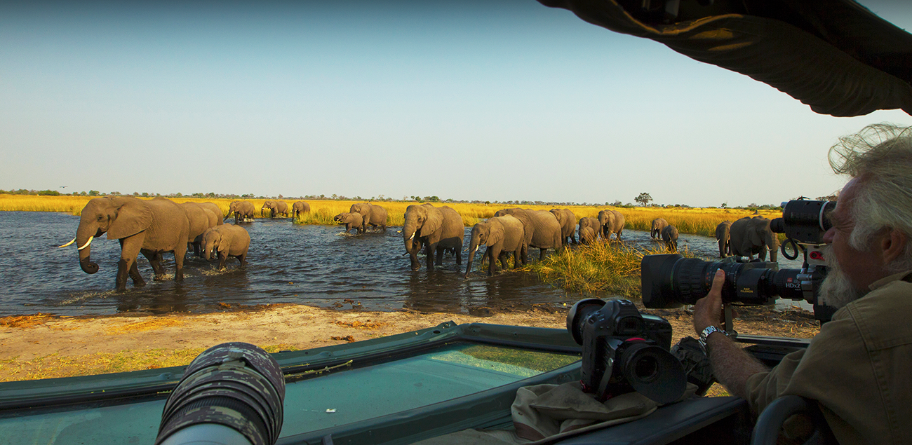 Botswana e Zimbabue by Great Plains Conservation