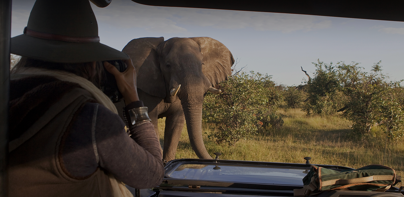 Botswana e Zimbabue by Great Plains Conservation