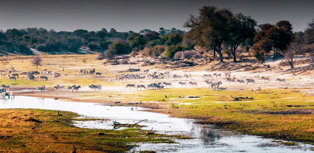 Botswana Rhino com Safari em Makgadikgadi