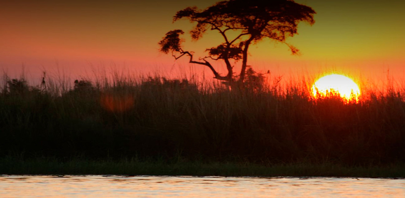 Maravilhas de Botswana