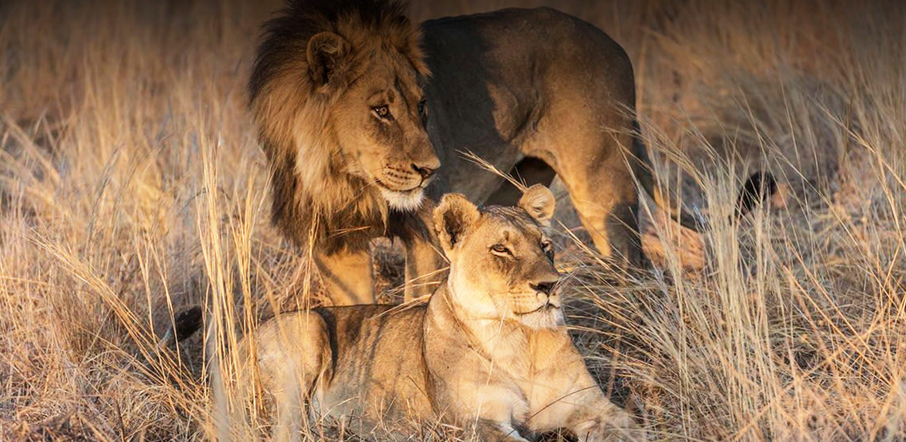 Riquezas de Botswana