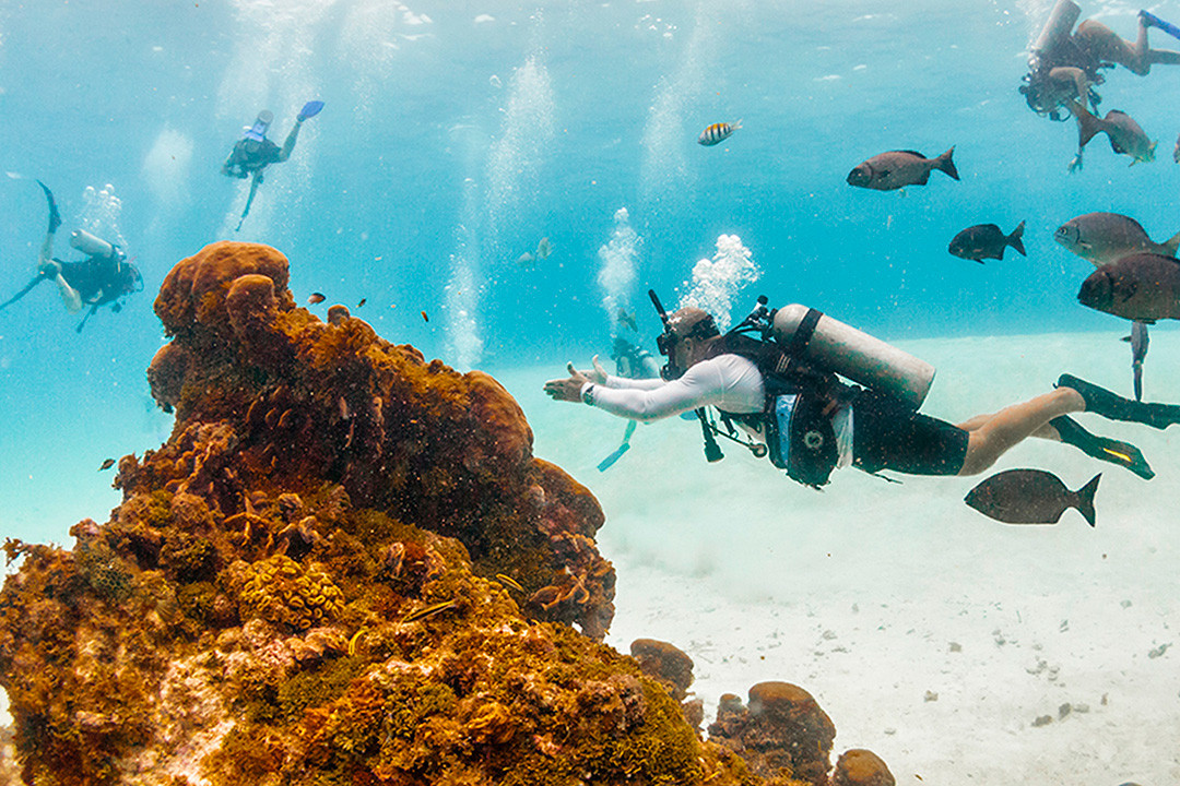 Mergulho em San Andres