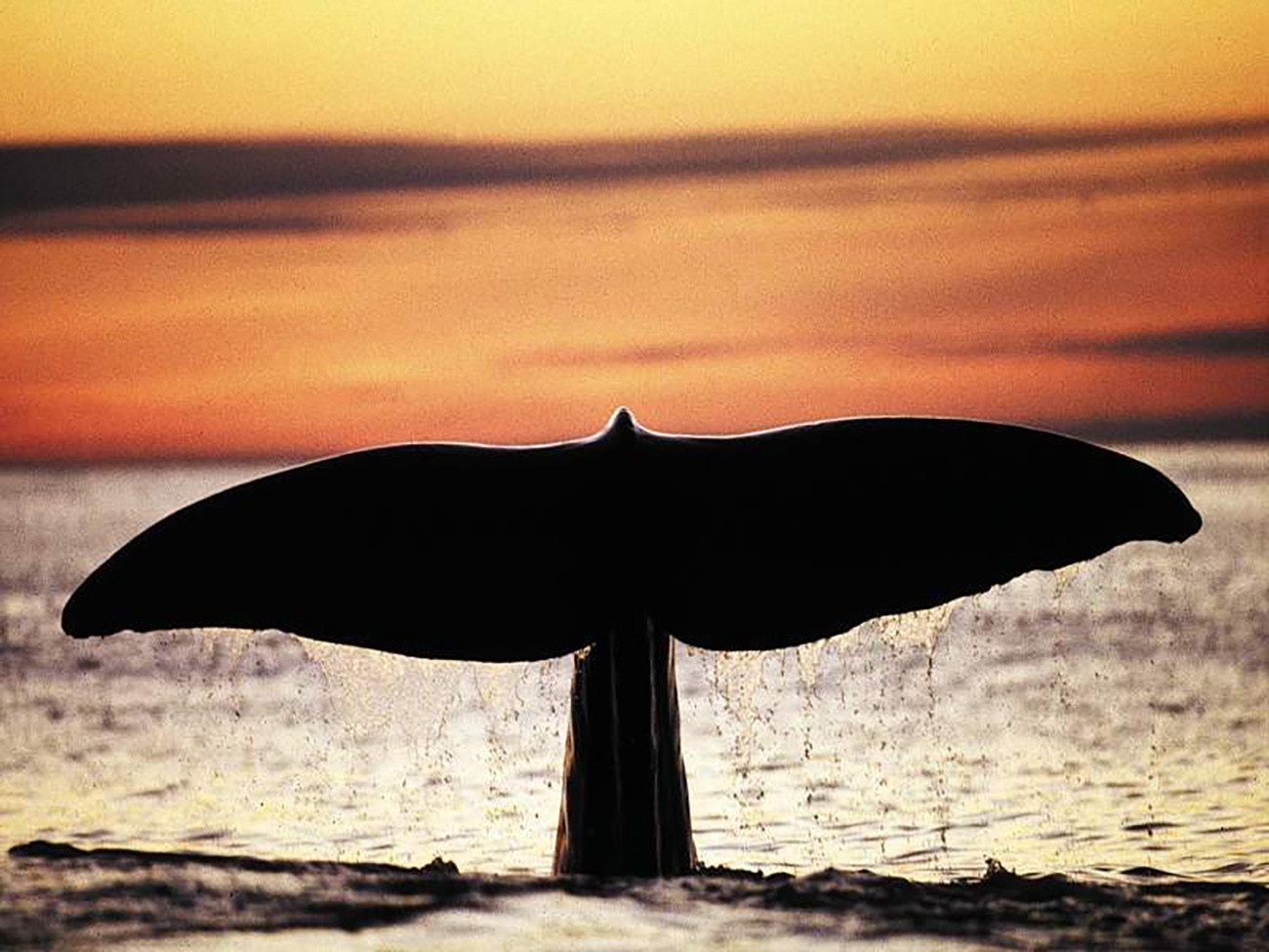 Fly & Drive Arquipélago de Lofoten