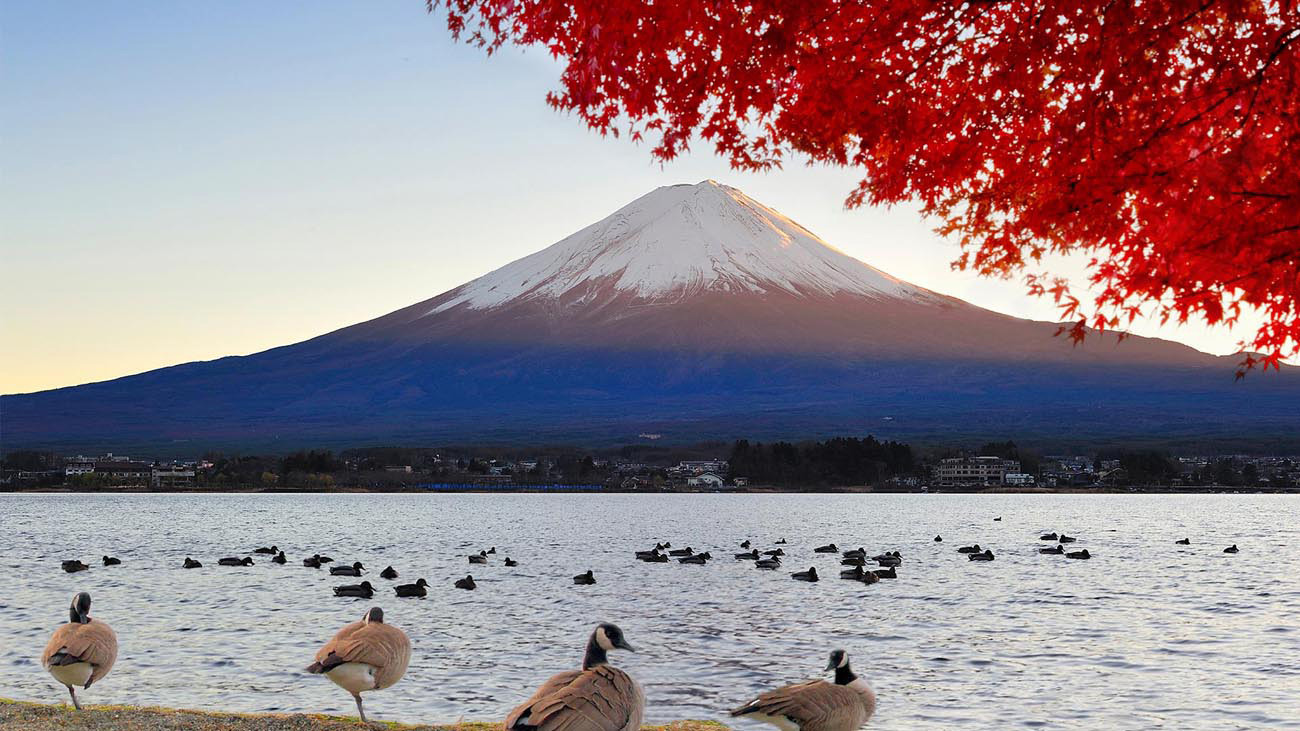 Japão, Kuala Lumpur, Singapura e Bali 