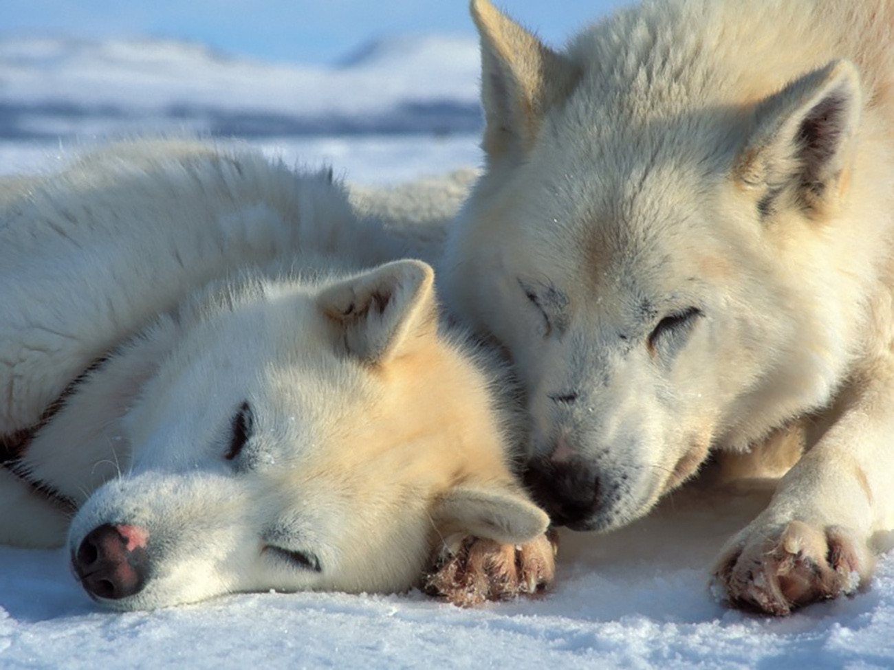 Artico Magico - Tromsø e Lofoten